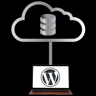 Web Hosting Services & WordPress Shared Hosting Services USA - WP DEDICATED Hosting