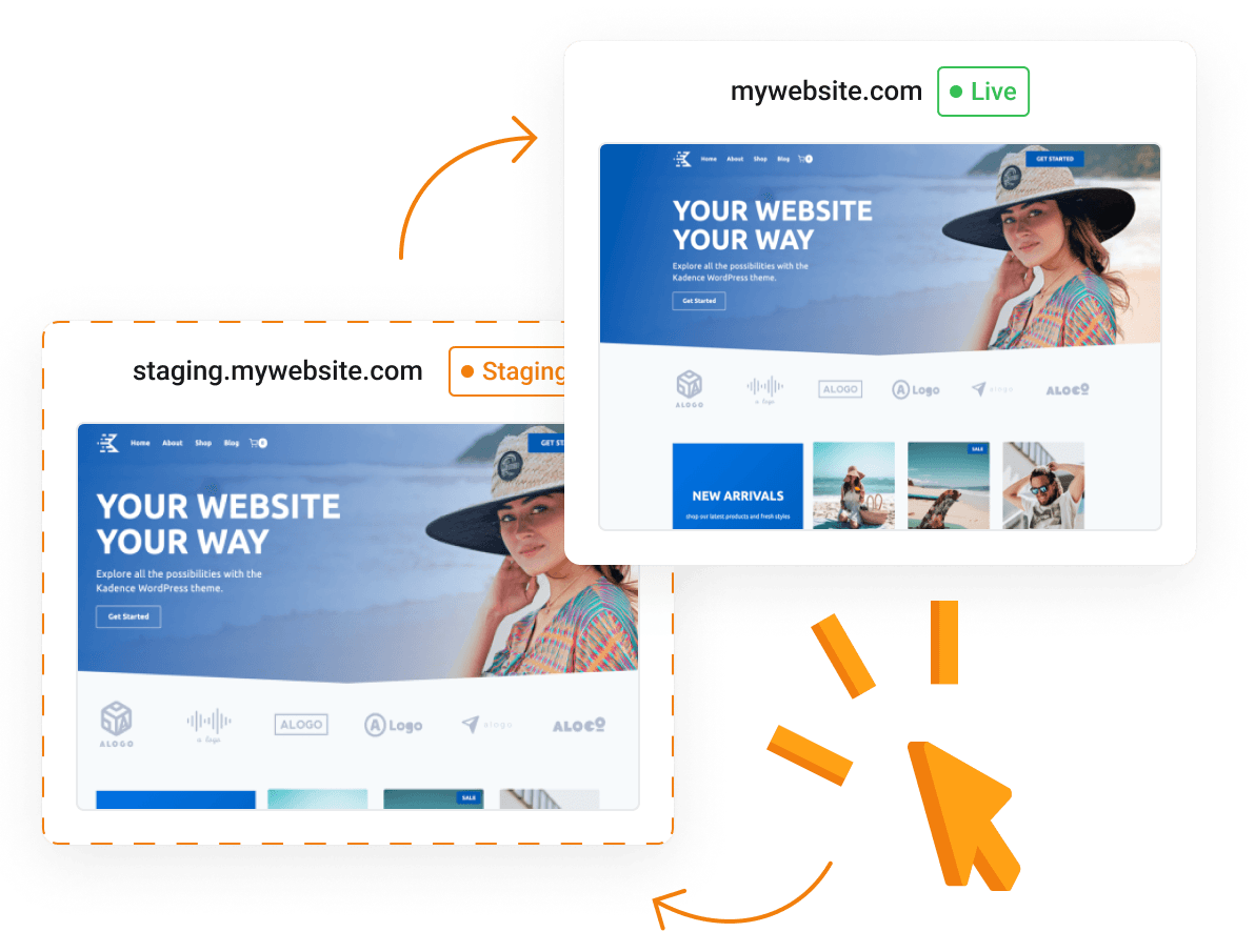 Website Hosting Solution. Web Hosting Services, Secure Web Hosting Services with 24/7 Support - New Now Hosting - One-Click WordPress Staging