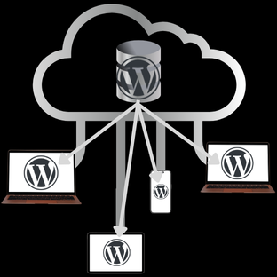 Web Hosting Services & WordPress Shared Hosting Services USA - TINY WP SHARED Hosting