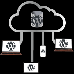 Web Hosting Services & WordPress Shared Hosting Services USA - WP SHARED Hosting
